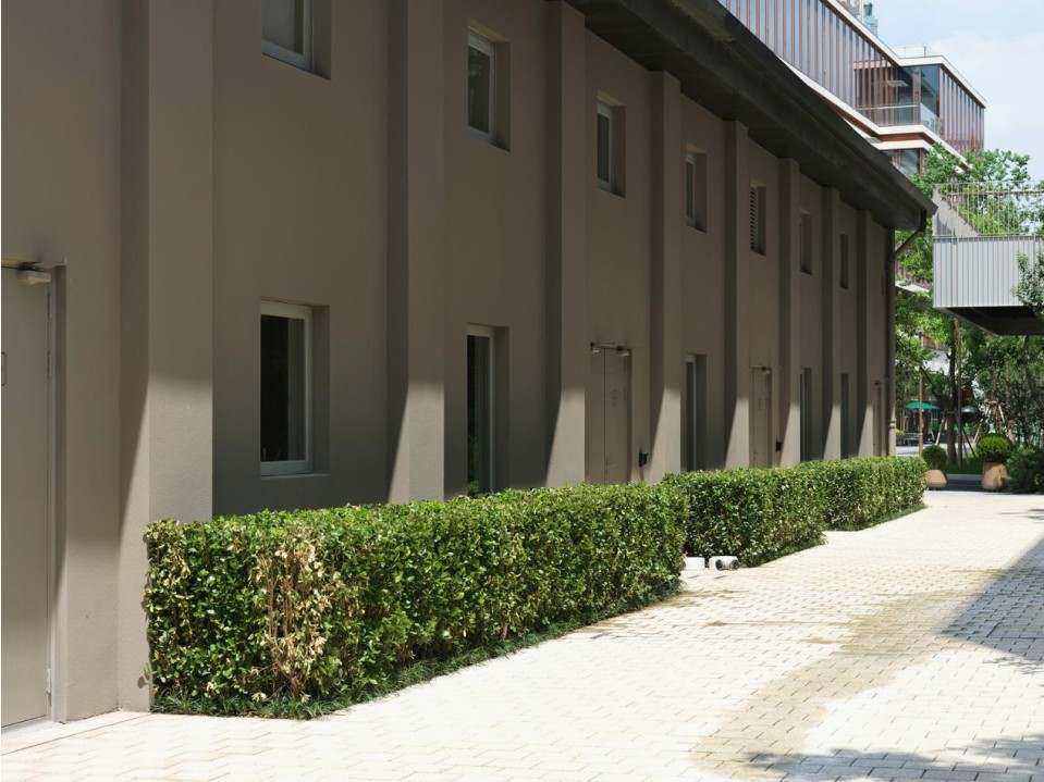 Federation terrace restoration